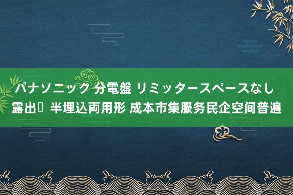 パナソニック 分電盤 リミッタースペースなし 露出・半埋込両用形 成本市集服务民企空间普遍