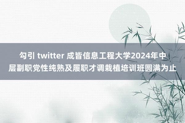 勾引 twitter 成皆信息工程大学2024年中层副职党性纯熟及履职才调栽植培训班圆满为止