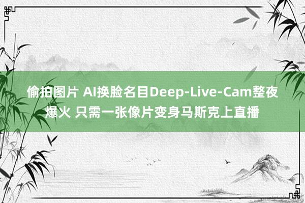 偷拍图片 AI换脸名目Deep-Live-Cam整夜爆火 只需一张像片变身马斯克上直播